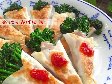 茎ブロッコリーの花束餃子✿